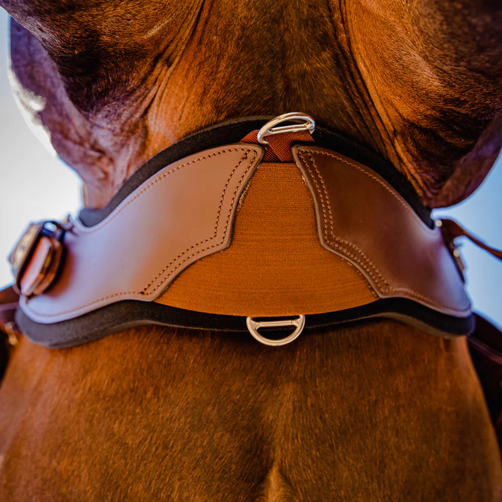 Total Saddle Fit StretchTec Shoulder Relief Cinch™ - WESTERN